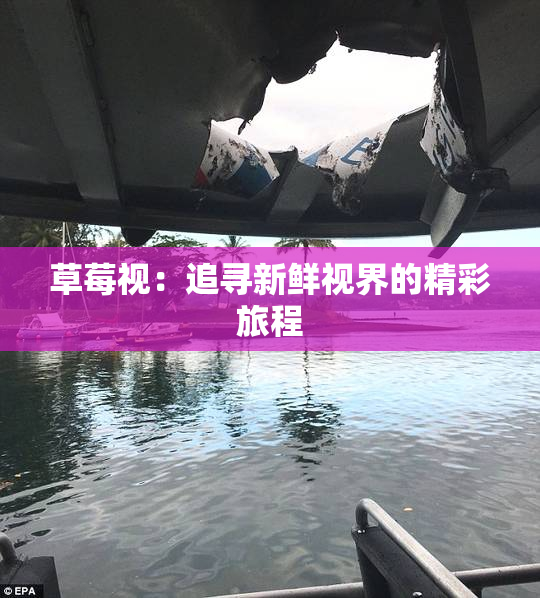 草莓视：追寻新鲜视界的精彩旅程