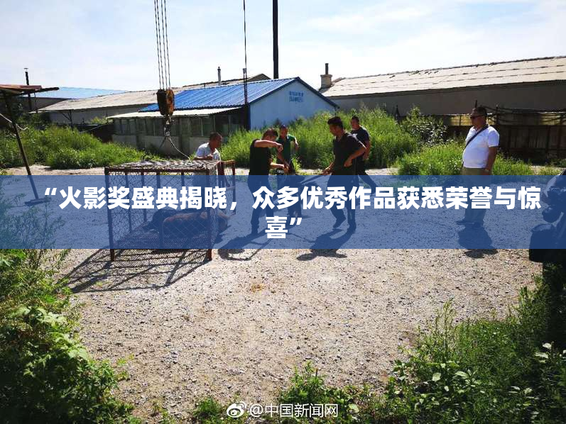 “火影奖盛典揭晓，众多优秀作品获悉荣誉与惊喜”