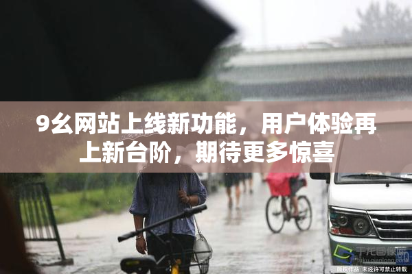 9幺网站上线新功能，用户体验再上新台阶，期待更多惊喜