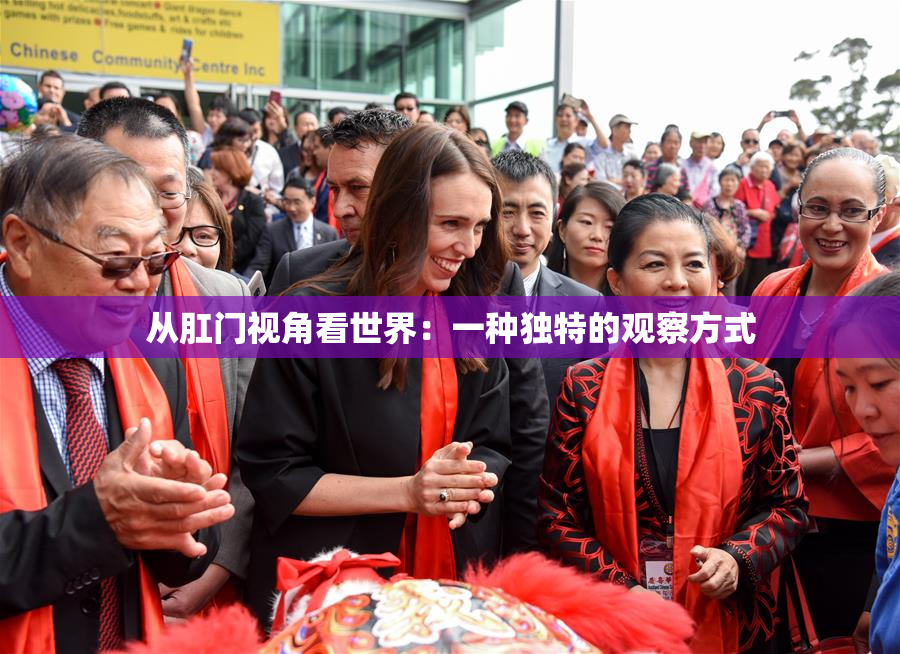 从肛门视角看世界：一种独特的观察方式