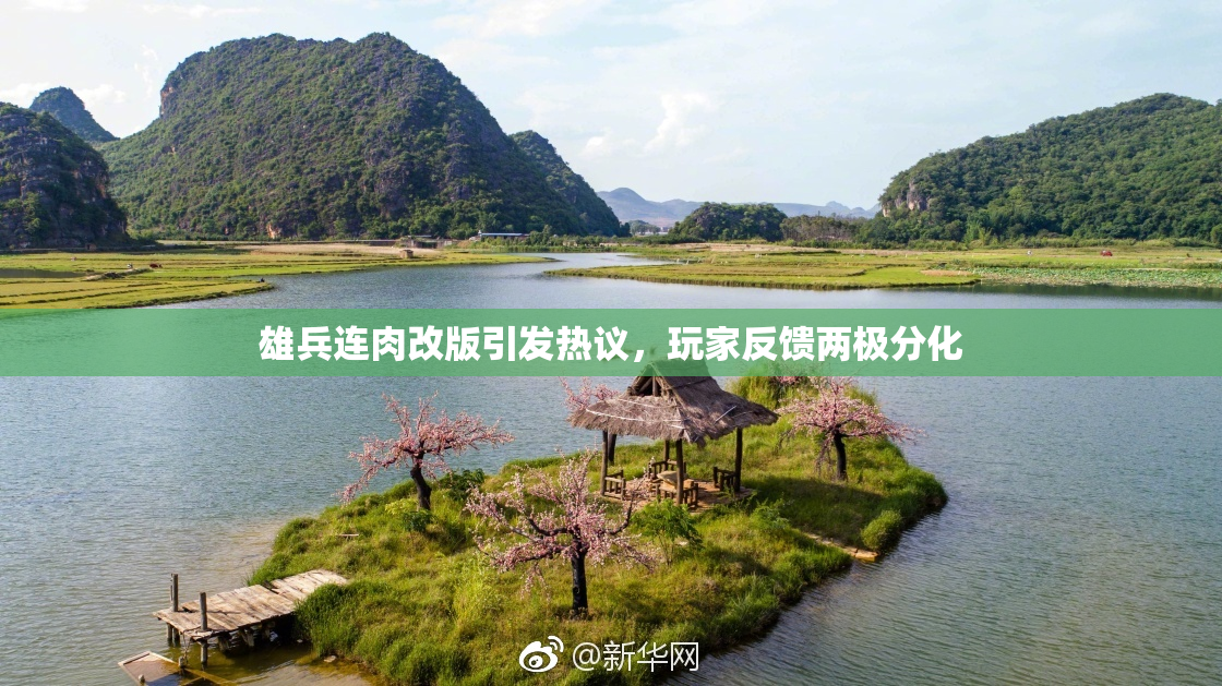 雄兵连肉改版引发热议，玩家反馈两极分化