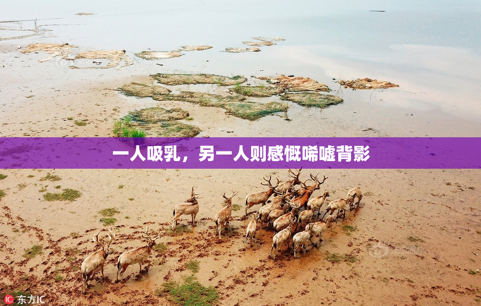 一人吸乳，另一人则感慨唏嘘背影