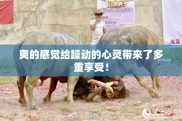 爽的感觉给躁动的心灵带来了多重享受！