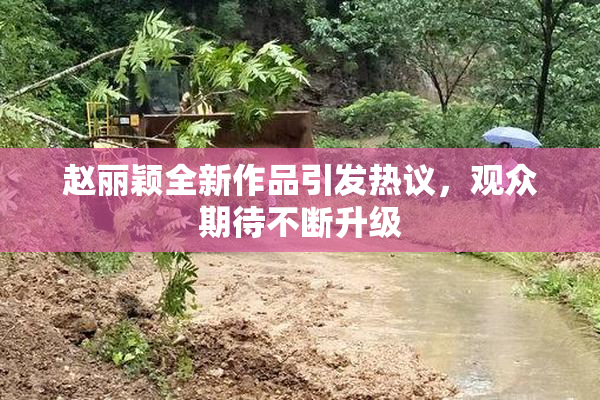 赵丽颖全新作品引发热议，观众期待不断升级