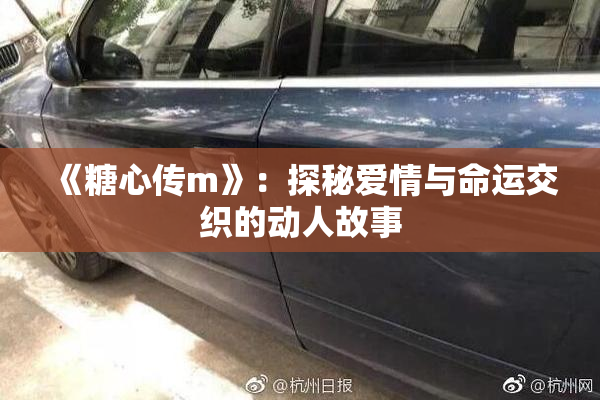 《糖心传m》：探秘爱情与命运交织的动人故事