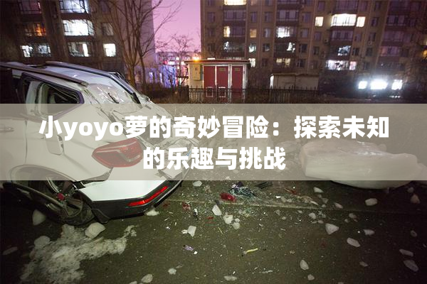 小yoyo萝的奇妙冒险：探索未知的乐趣与挑战