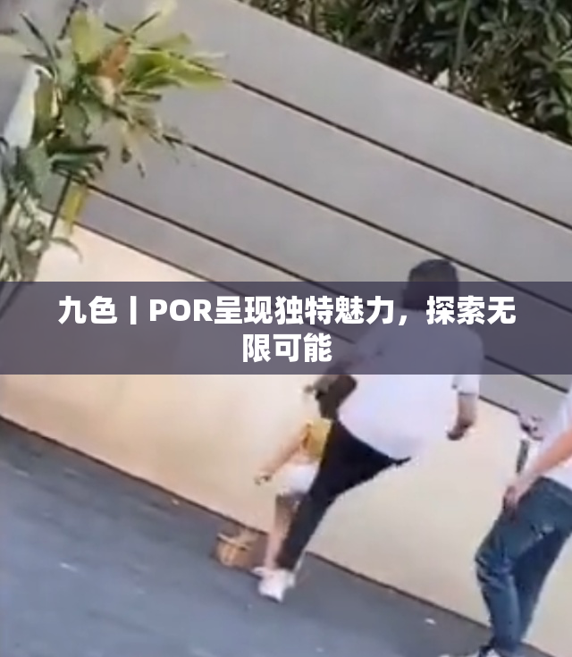 九色丨POR呈现独特魅力，探索无限可能