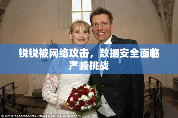 锐锐被网络攻击，数据安全面临严峻挑战