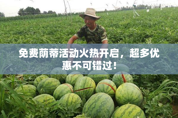 免费荫蒂活动火热开启，超多优惠不可错过！