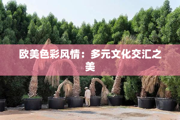 欧美色彩风情：多元文化交汇之美