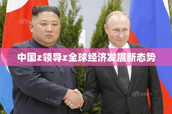 中国z领导z全球经济发展新态势