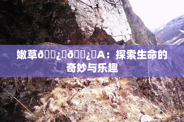 嫩草🌿‌🌿‌A：探索生命的奇妙与乐趣