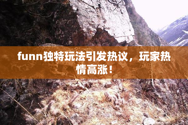 funn独特玩法引发热议，玩家热情高涨！