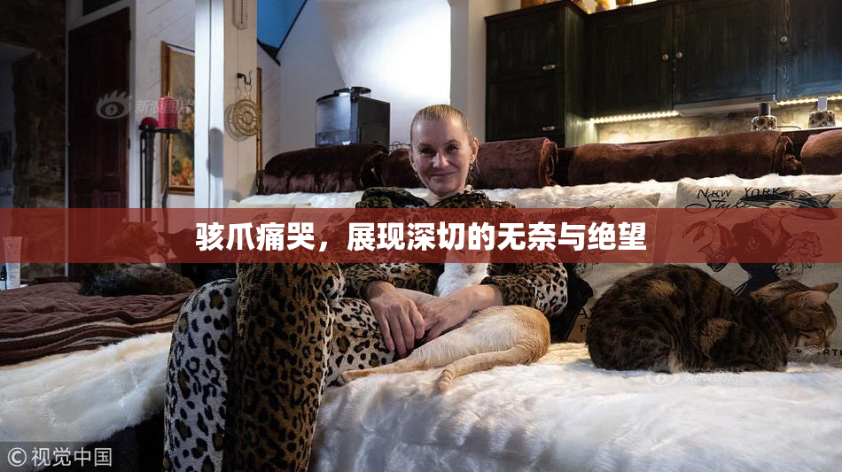 骇爪痛哭，展现深切的无奈与绝望
