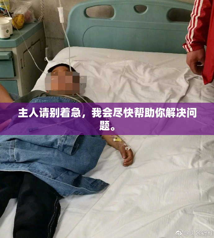 主人请别着急，我会尽快帮助你解决问题。