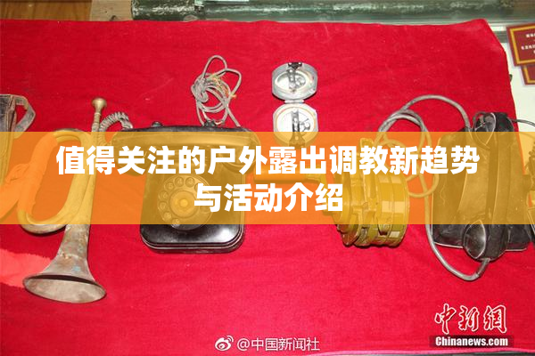 值得关注的户外露出调教新趋势与活动介绍