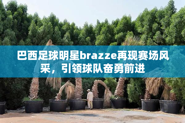巴西足球明星brazze再现赛场风采，引领球队奋勇前进
