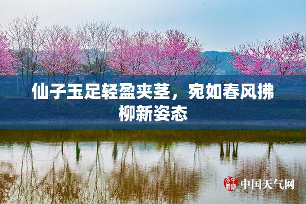 仙子玉足轻盈夹茎，宛如春风拂柳新姿态
