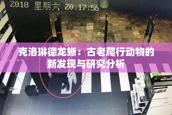 克洛琳德龙蜥：古老爬行动物的新发现与研究分析