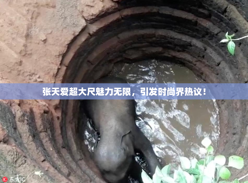 张天爱超大尺魅力无限，引发时尚界热议！