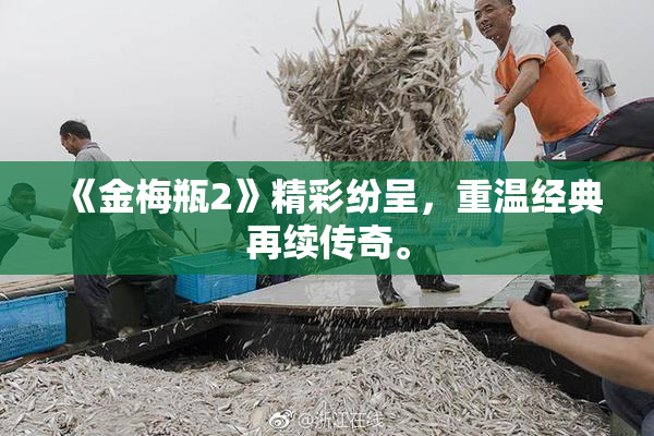 《金梅瓶2》精彩纷呈，重温经典再续传奇。