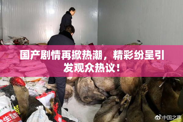 国产剧情再掀热潮，精彩纷呈引发观众热议！