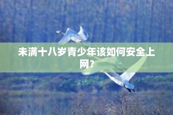 未满十八岁青少年该如何安全上网？