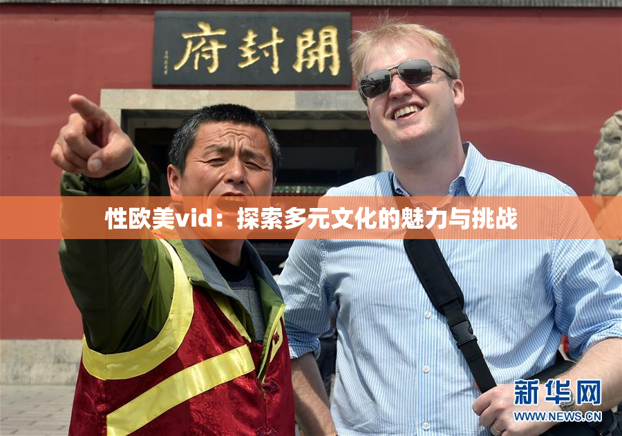 性欧美vid：探索多元文化的魅力与挑战