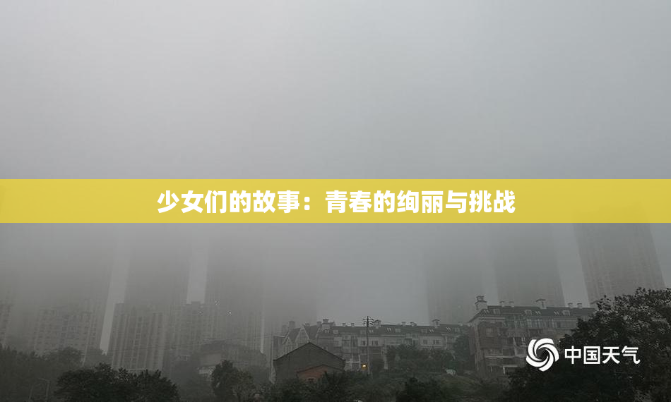少女们的故事：青春的绚丽与挑战