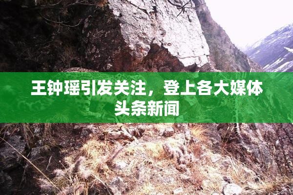 王钟瑶引发关注，登上各大媒体头条新闻
