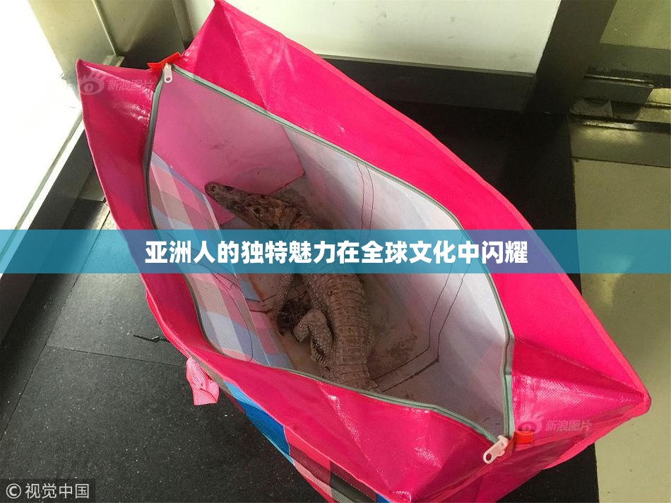 亚洲人的独特魅力在全球文化中闪耀