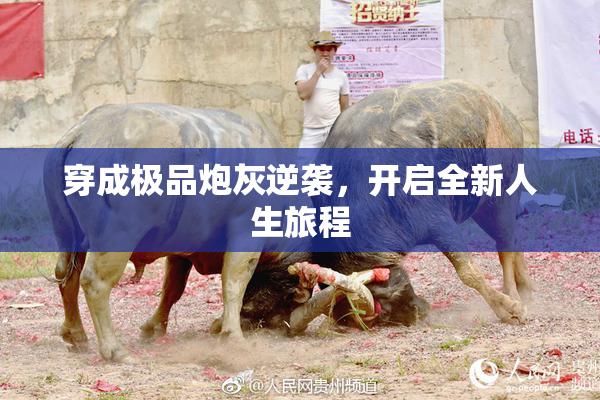 穿成极品炮灰逆袭，开启全新人生旅程