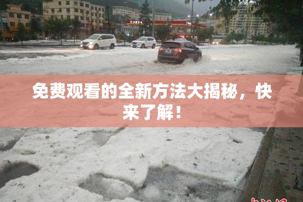 免费观看的全新方法大揭秘，快来了解！