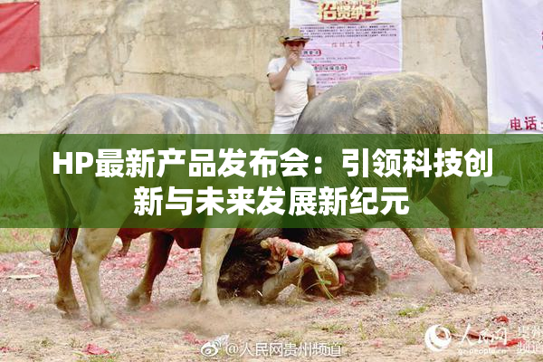 HP最新产品发布会：引领科技创新与未来发展新纪元
