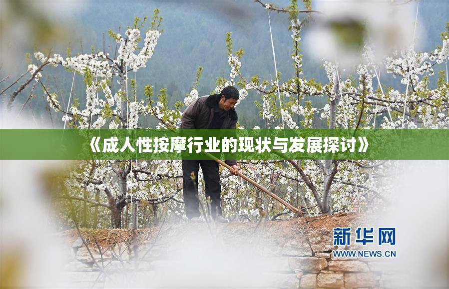 《成人性按摩行业的现状与发展探讨》