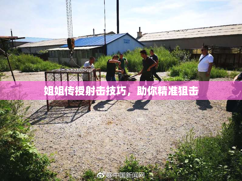 姐姐传授射击技巧，助你精准狙击