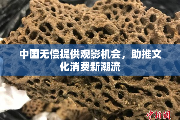 中国无偿提供观影机会，助推文化消费新潮流