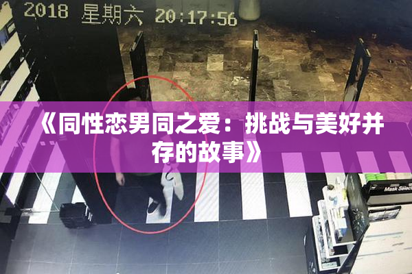 《同性恋男同之爱：挑战与美好并存的故事》