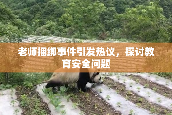 老师捆绑事件引发热议，探讨教育安全问题