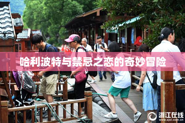 哈利波特与禁忌之恋的奇妙冒险