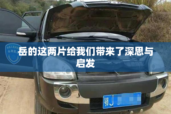 岳的这两片给我们带来了深思与启发