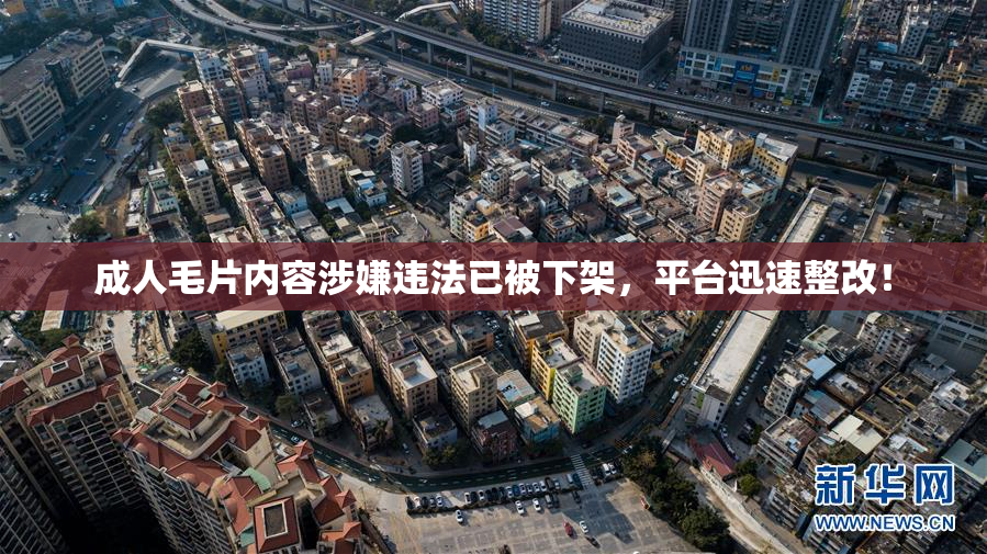 成人毛片内容涉嫌违法已被下架，平台迅速整改！