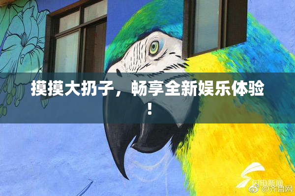 摸摸大扔子，畅享全新娱乐体验！