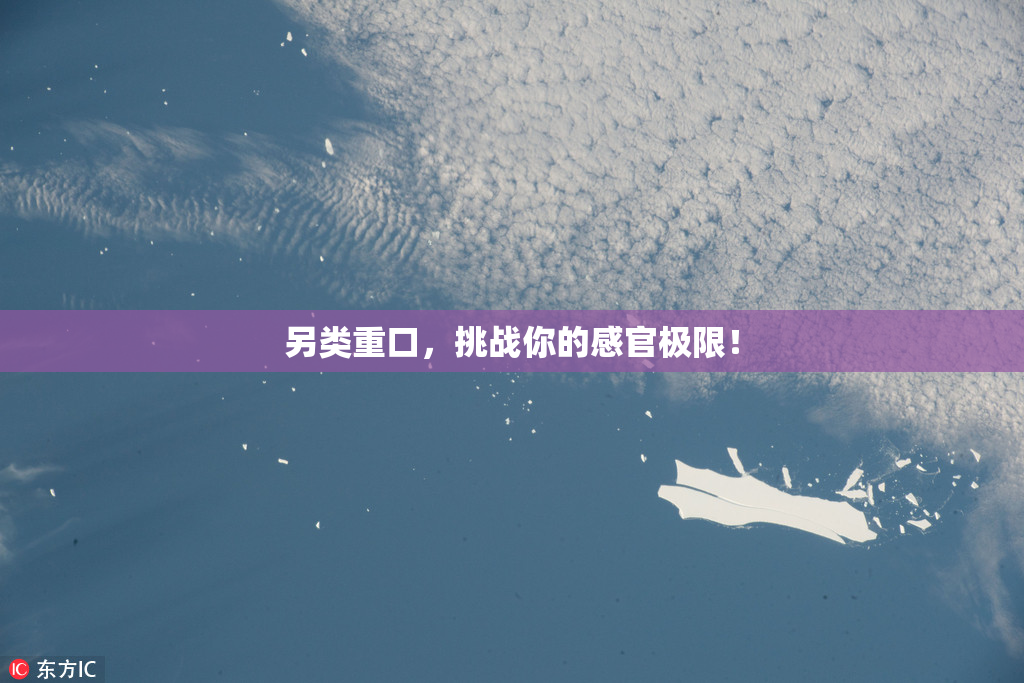 另类重口，挑战你的感官极限！