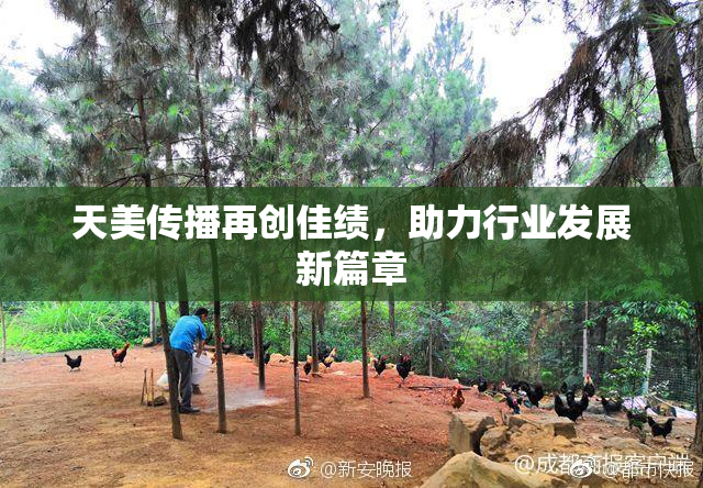 天美传播再创佳绩，助力行业发展新篇章