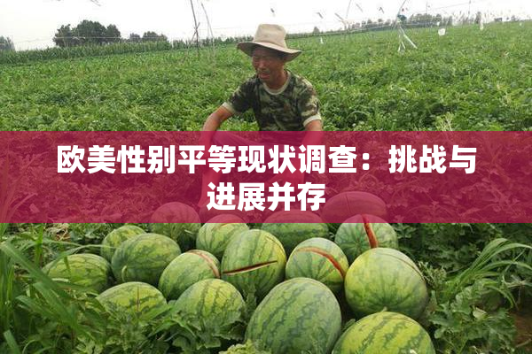 欧美性别平等现状调查：挑战与进展并存