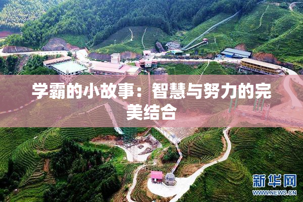 学霸的小故事：智慧与努力的完美结合