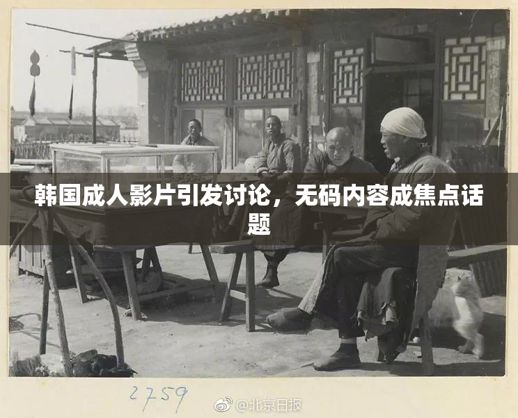 韩国成人影片引发讨论，无码内容成焦点话题