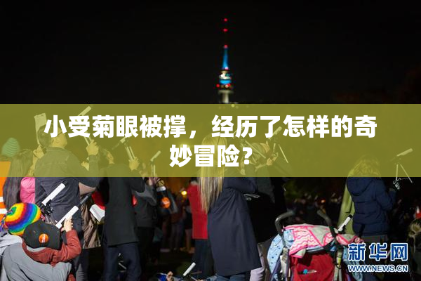 小受菊眼被撑，经历了怎样的奇妙冒险？