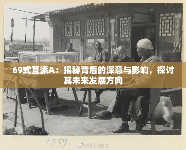 69式互添A：揭秘背后的深意与影响，探讨其未来发展方向